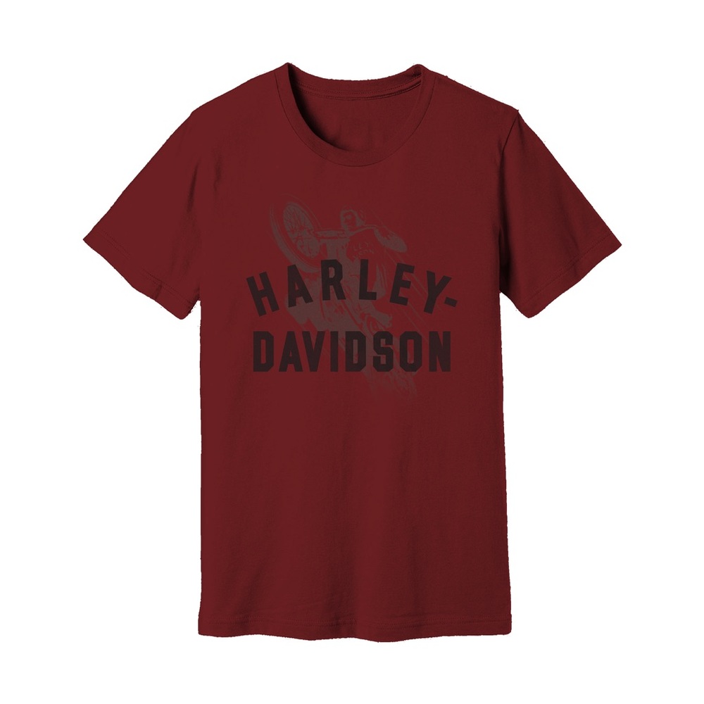 Harley-Davidson Men’s Enthusiast Biker Tee
